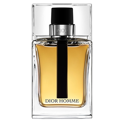 Christian Dior Homme Eau de Parfum 100ml (Probador)